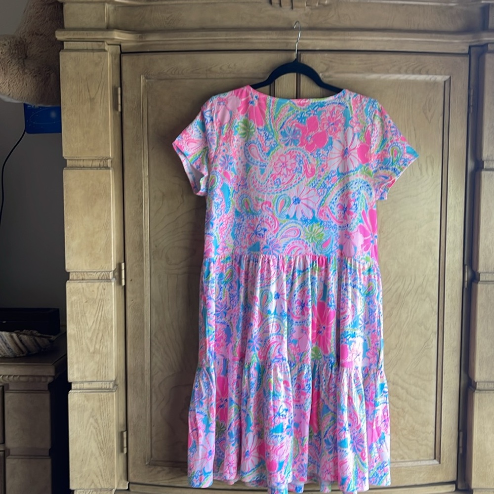Lilly Pulitzer 🔥 Geanna 🌸Swing Dress Flock
Full of Fun - Picture 7 of 8